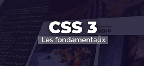 Couverture de CSS 3