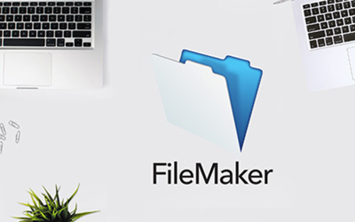 Couverture de FileMaker Pro 15