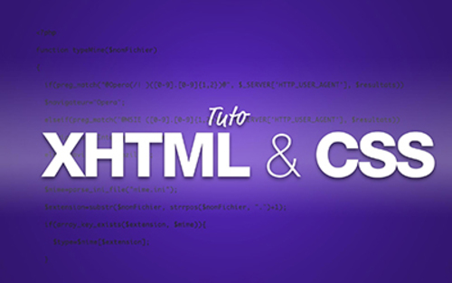 Couverture de XHTML & CSS