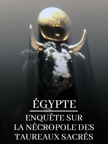Couverture de Égypte - Enquête sur la nécropole des taureaux sacrés