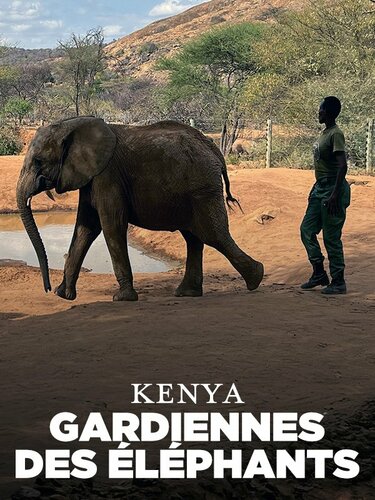 Couverture de Kenya, gardiennes des éléphants