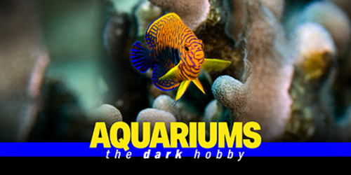 Couverture de Aquariums : the dark hobby